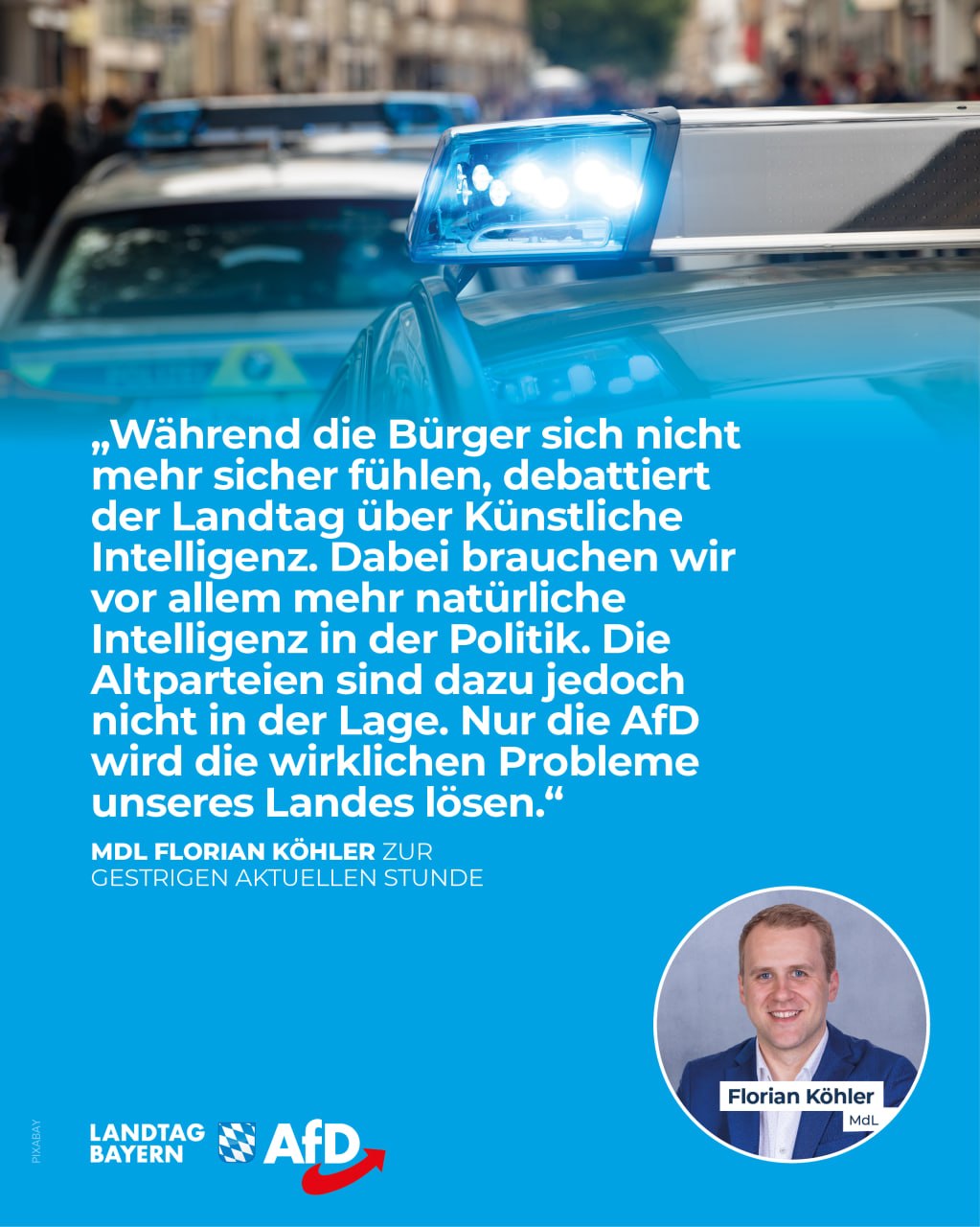 Nur die AfD löst die wirklichen Probleme!